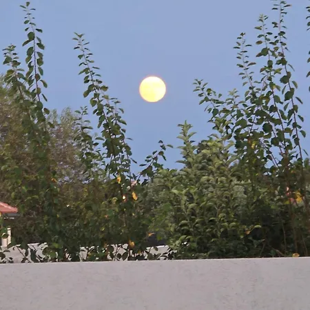 Jela Вилла *