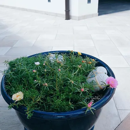 Βίλα Jela Policnik